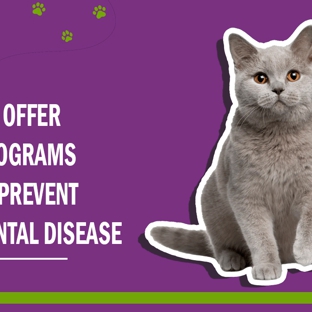 Redlynch Valley Vets - Redlynch, QLD. We Offer Programs To Prevent Dental Disease