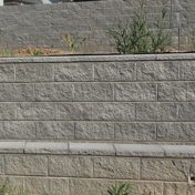 Gallery Image Number 3