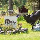 Elk Ridge Bed & Breakfast - Lodging