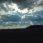 Harolds Haunted Cornfield