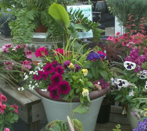 Merrifield Garden Center - Manassas, VA