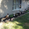 SBW Landscaping co gallery