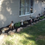 SBW Landscaping co