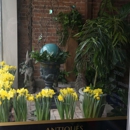 The Design Center - Florists