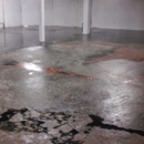 ARS Restoration Services, Inc.
