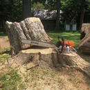 Clearview Landworks - Stump Removal & Grinding