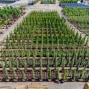 Garden View Nursery - Nurseries-Plants & Trees