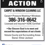 Action carpet and window cleaning