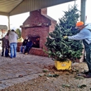 Eagle Evergreens - Christmas Trees