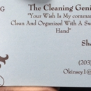 The Cleaning Genie LLC - Janitorial Service