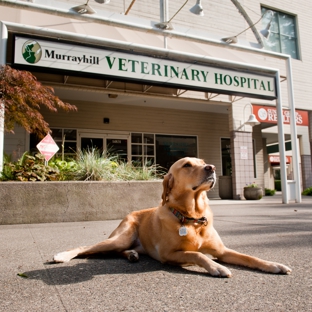 VCA Murrayhill Veterinary Hospital - Beaverton, OR. ENTRANCE