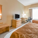 Comfort Suites Louisville Airport - Lodging