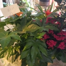 Barkers Florist - Flowers, Plants & Trees-Silk, Dried, Etc.-Retail