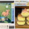 Kids' Content gallery