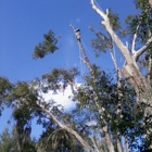 Natural View Tree Service