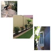 Gallery Image Number 7