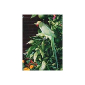 Gallery Image Number 3