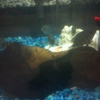 Eden Pet Supplies & Aquarium gallery