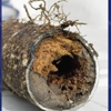 Pipe Restorationg Solutions Jacksonville gallery