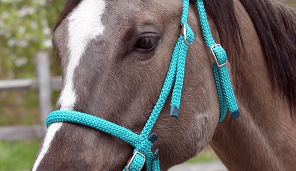 Top Knot Ch Custom Tack R - Janesville, WI