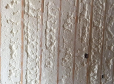 Gallery Image Number 6