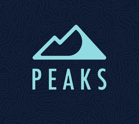 Peaks Digital Marketing - Denver, CO