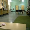 Sharon Carmignani MD gallery