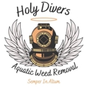Holy Divers Aquatic Weed Removal