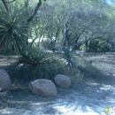 Palmbuddha - Nurseries-Plants & Trees