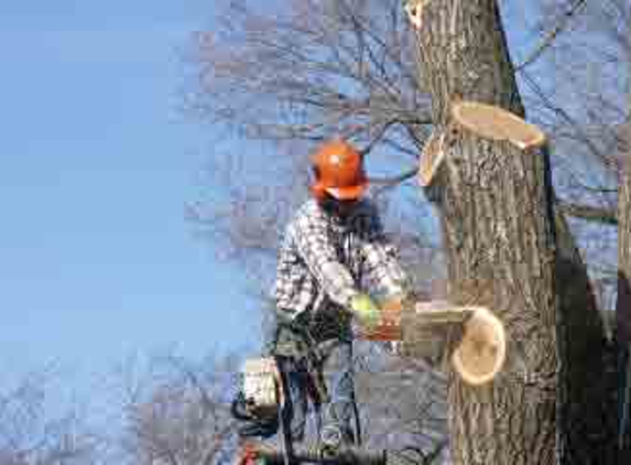 Dave's Midwest Tree Service - Chicago, IL