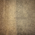 Carpet Cleaning Berkeley