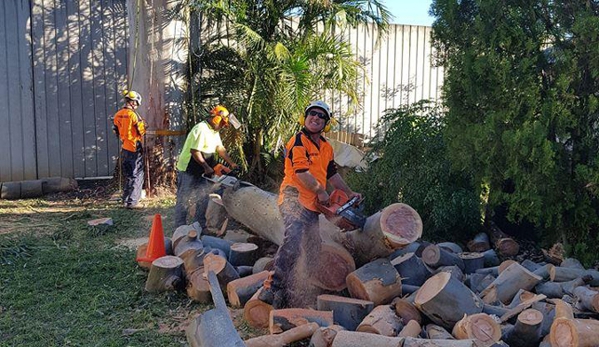 Plumb Trees - Croydon Park, NSW