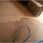 All in One Carpet, Tile, and Upholstery Cleaning