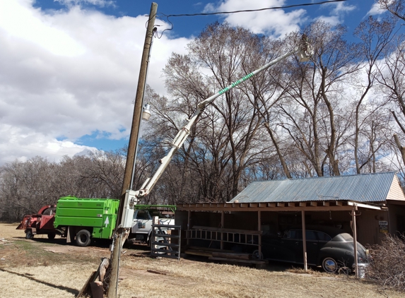 VJ Stars Tree Services - Albuquerque, NM