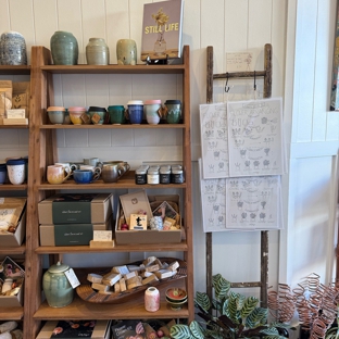 Wildly Abigail - Sandy Bay, TAS