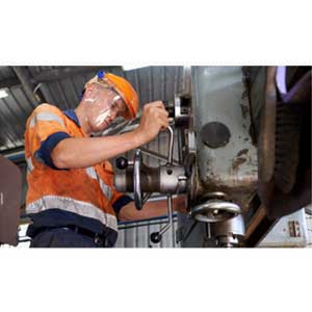 Dixie Holdings Pty Ltd - Steiglitz, QLD