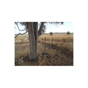 Gallery Image Number 4