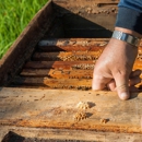 All-Delta Pest Control Inc - Pest Control Equipment & Supplies
