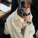 Norwood Animal Hospital, A Thrive Pet Healthcare Partner - Veterinarians