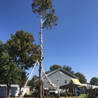 Total Tree Care