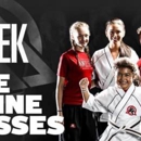 Tiger-Rock Martial Arts - Martial Arts Instruction