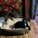 The Barksville Inn - Pet Grooming