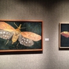 Martin Museum of Art gallery