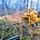 Little Stevie's Tree Work