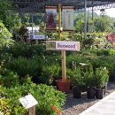 Daniel's Nursery
