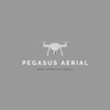 Pegasus Aerial gallery