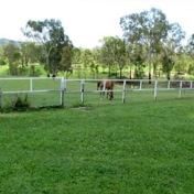 Gallery Image Number 3