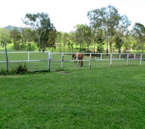 Townsville Agistment - Roseneath, QLD