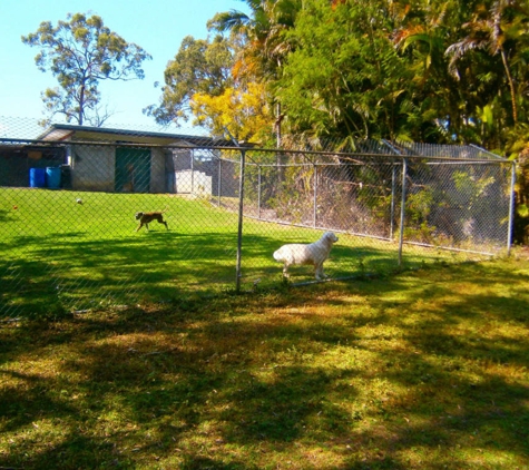 Chandler Boarding Kennels - Chandler, QLD. Dog Boarding Kennels Brisbane