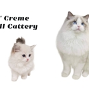 LATTENCREME RAGDOLL CATTERY - Pet Breeders